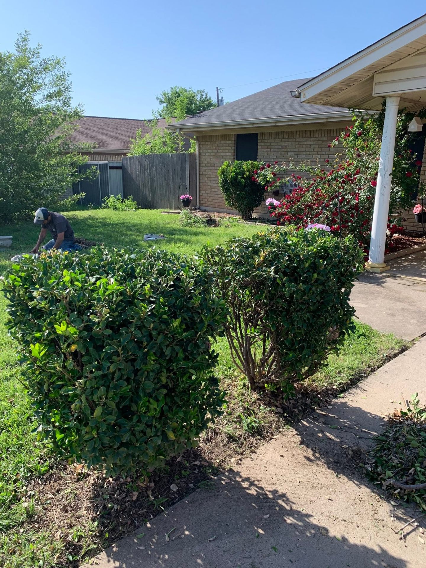 Cleanup in progress