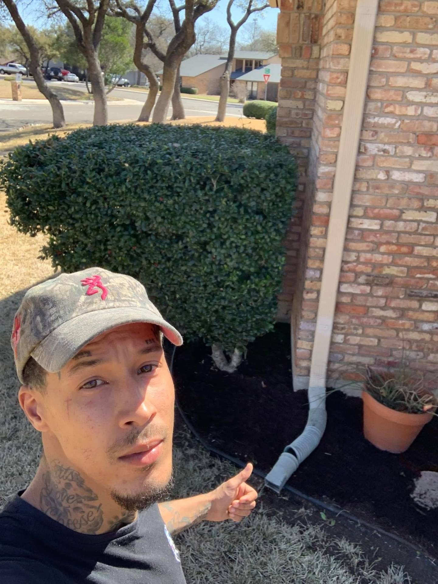 Hedge shaping